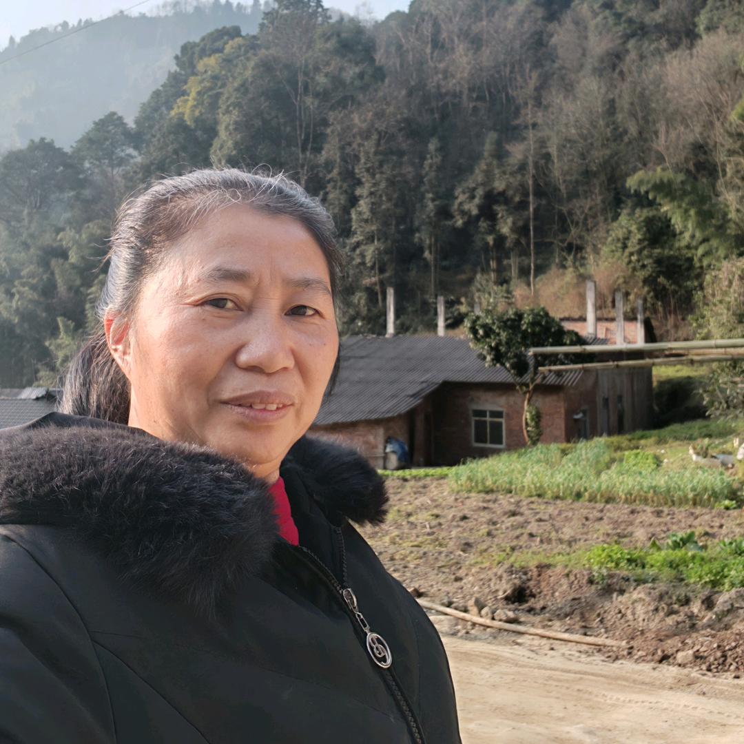农村姐