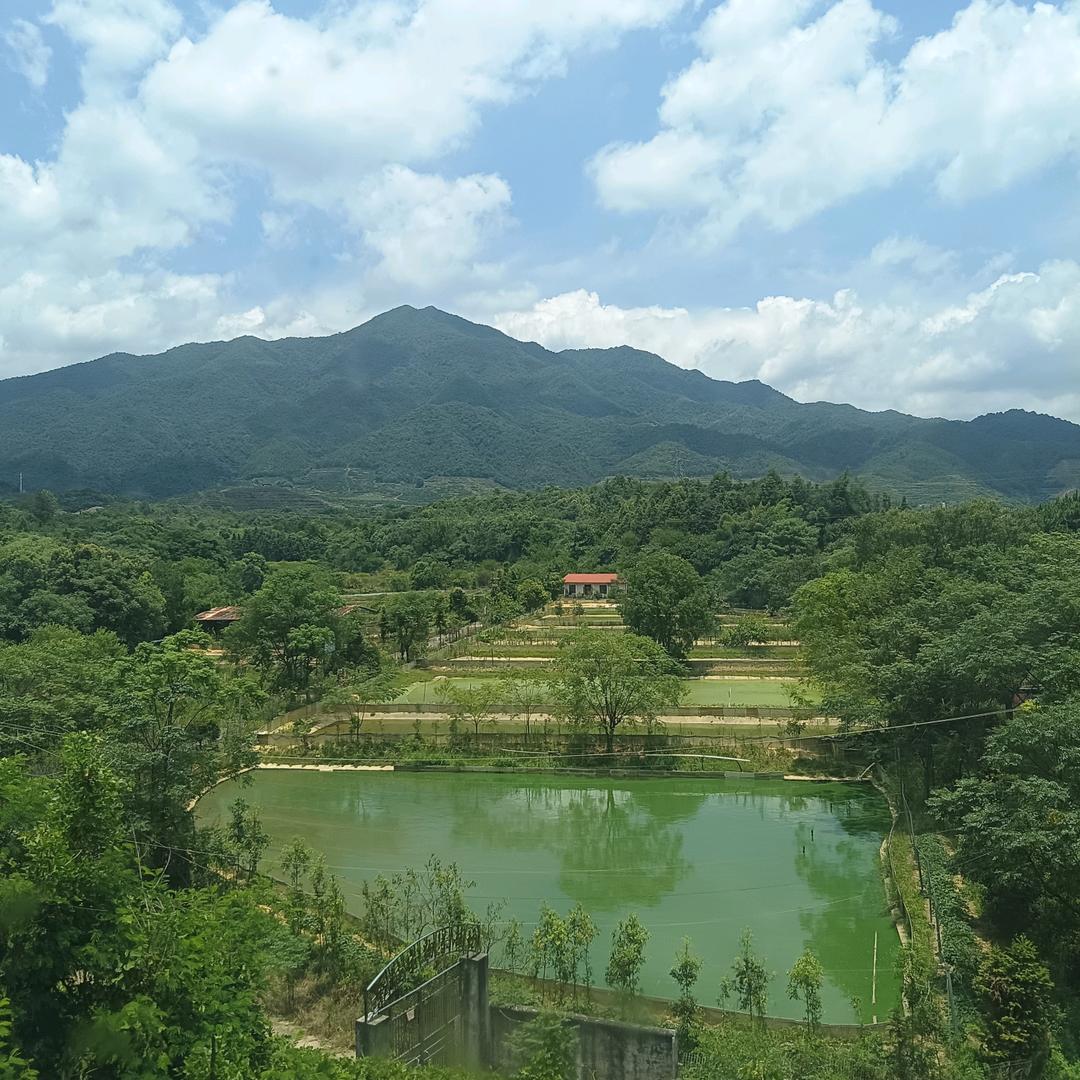 荣歌运动服饰-2