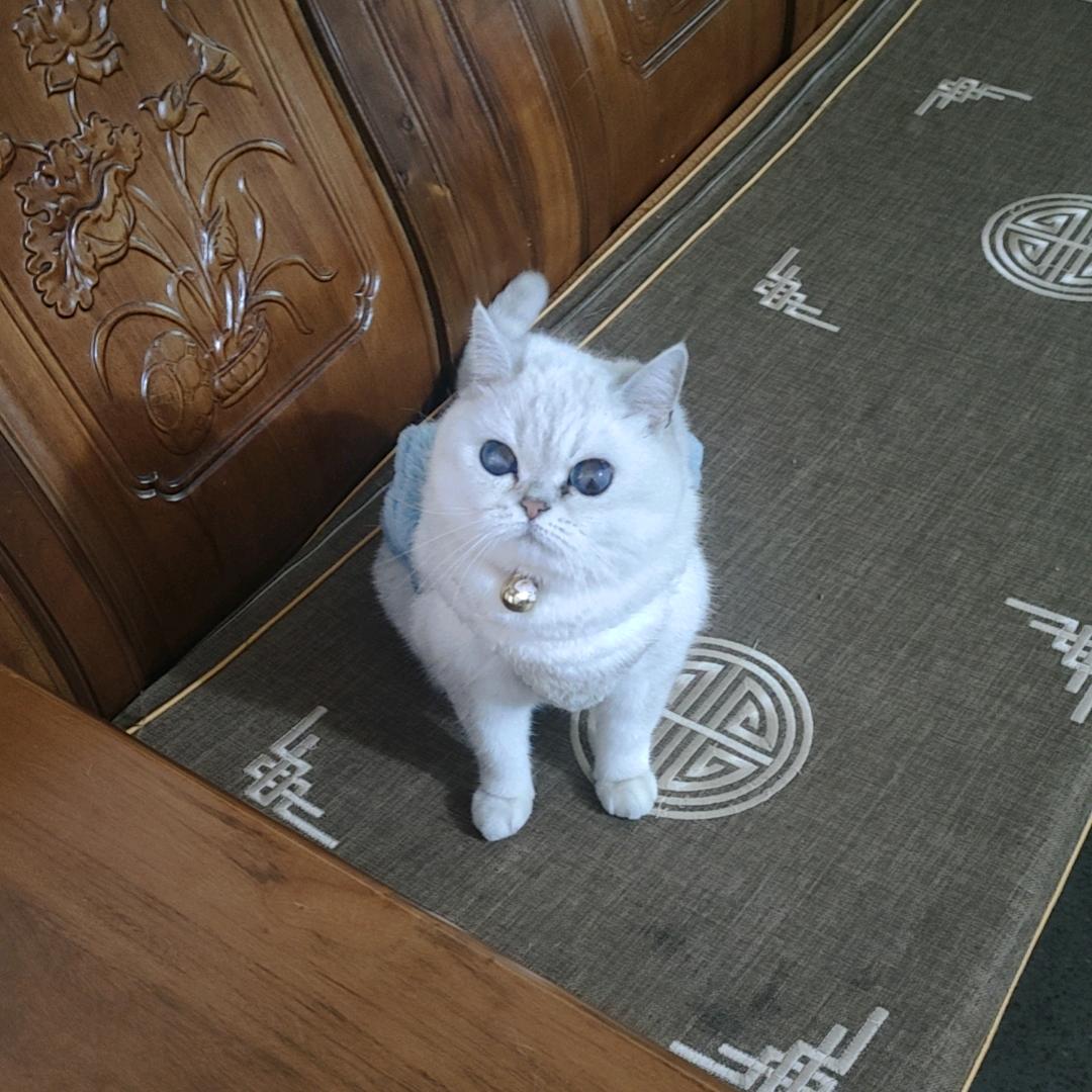 一具行尸
