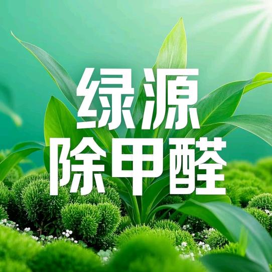 绿源甲醛检测治理中心（北京店）