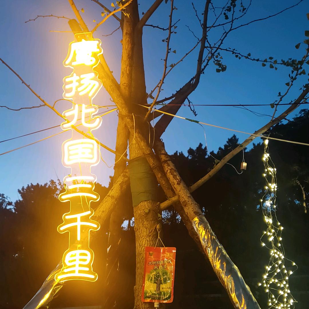 🍂思念无期🍁