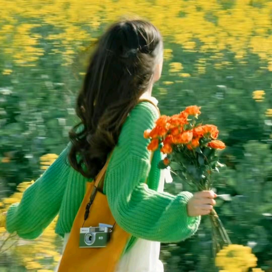 鸢尾花