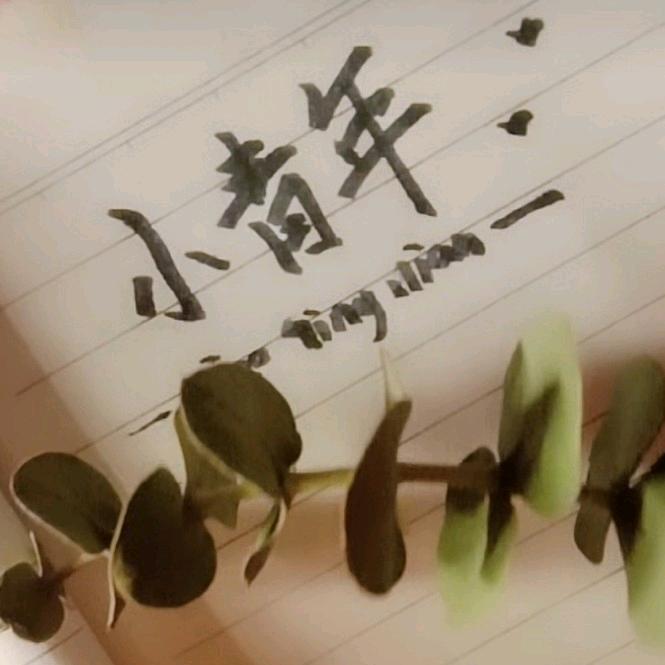 奋斗中的小青年