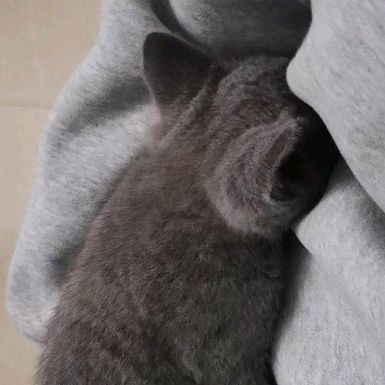 调兵山市义友手机通讯店（个体工商户）