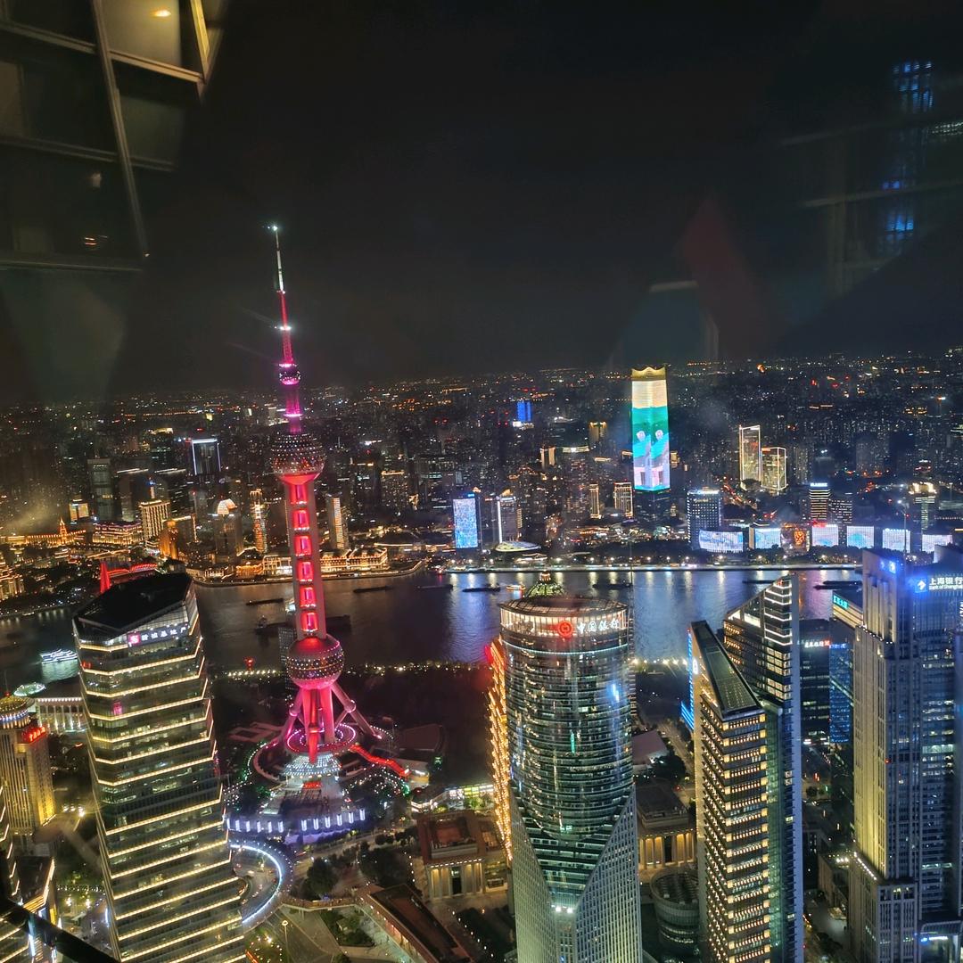 尘树