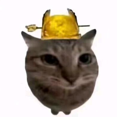 系匿