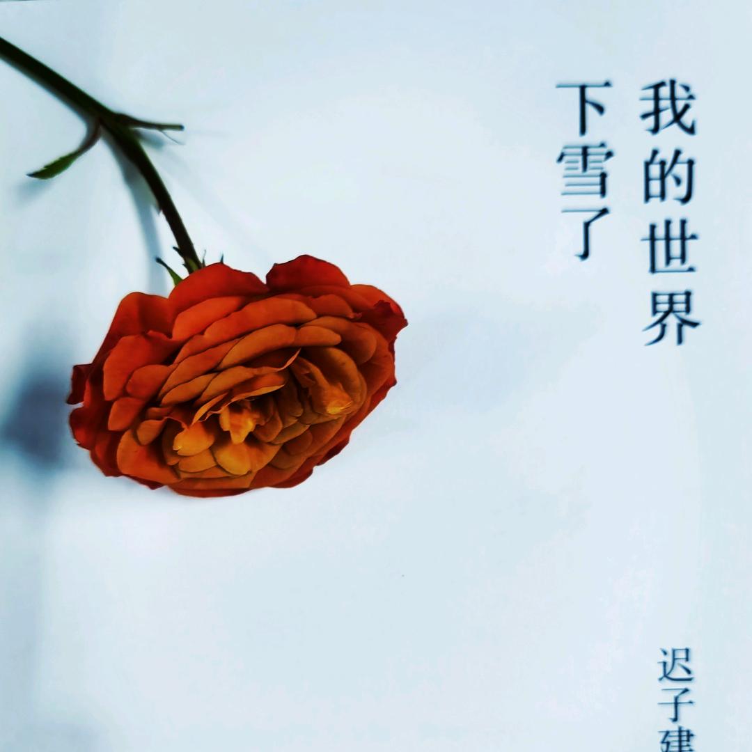 落花