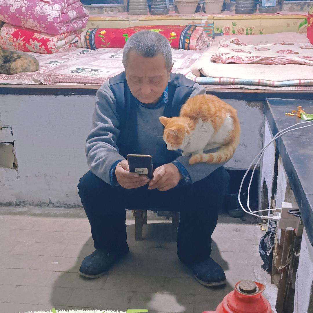难得糊涂666