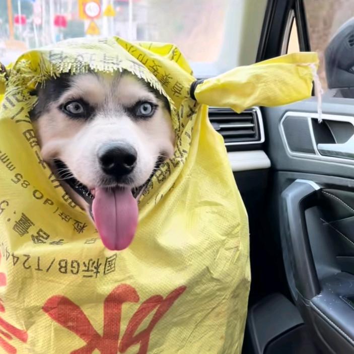派大星