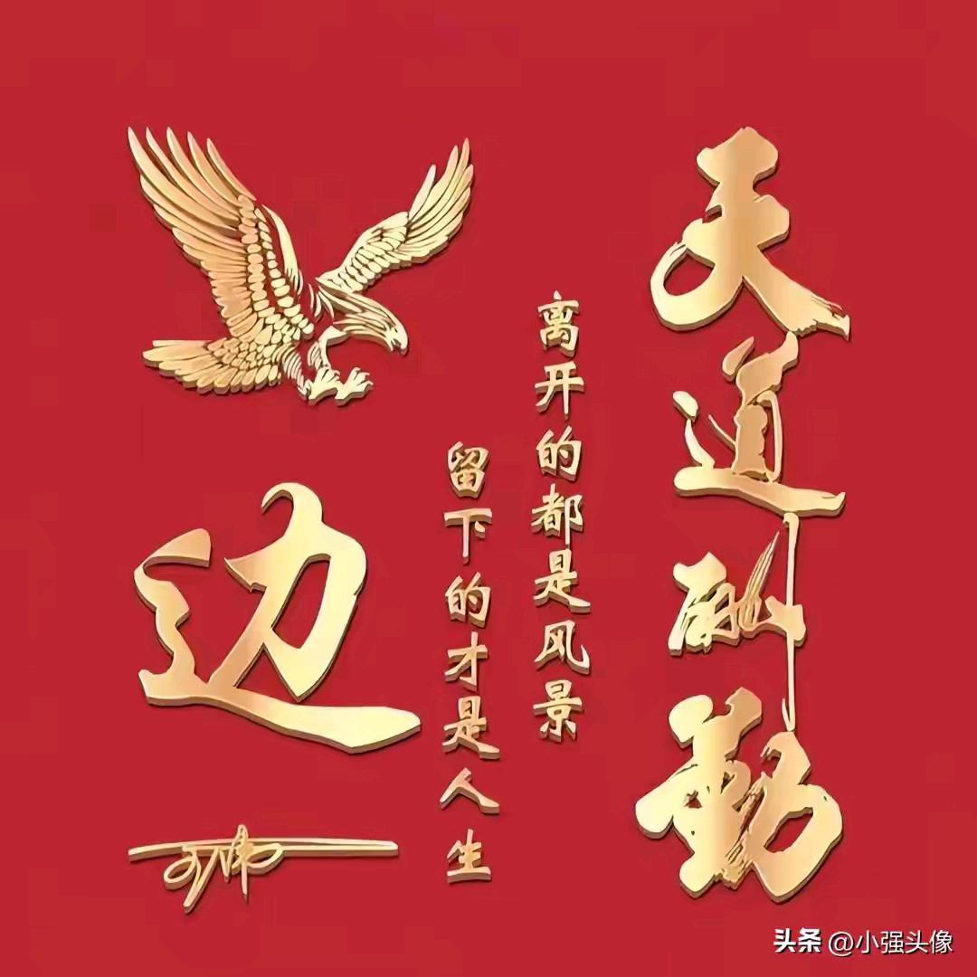 🇨🇳天道酬勤