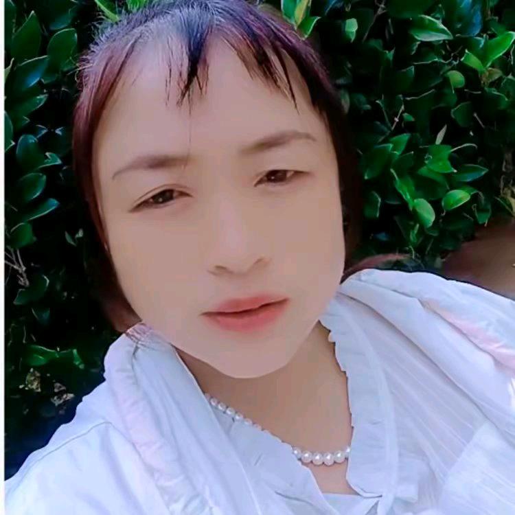 杨梦想成真