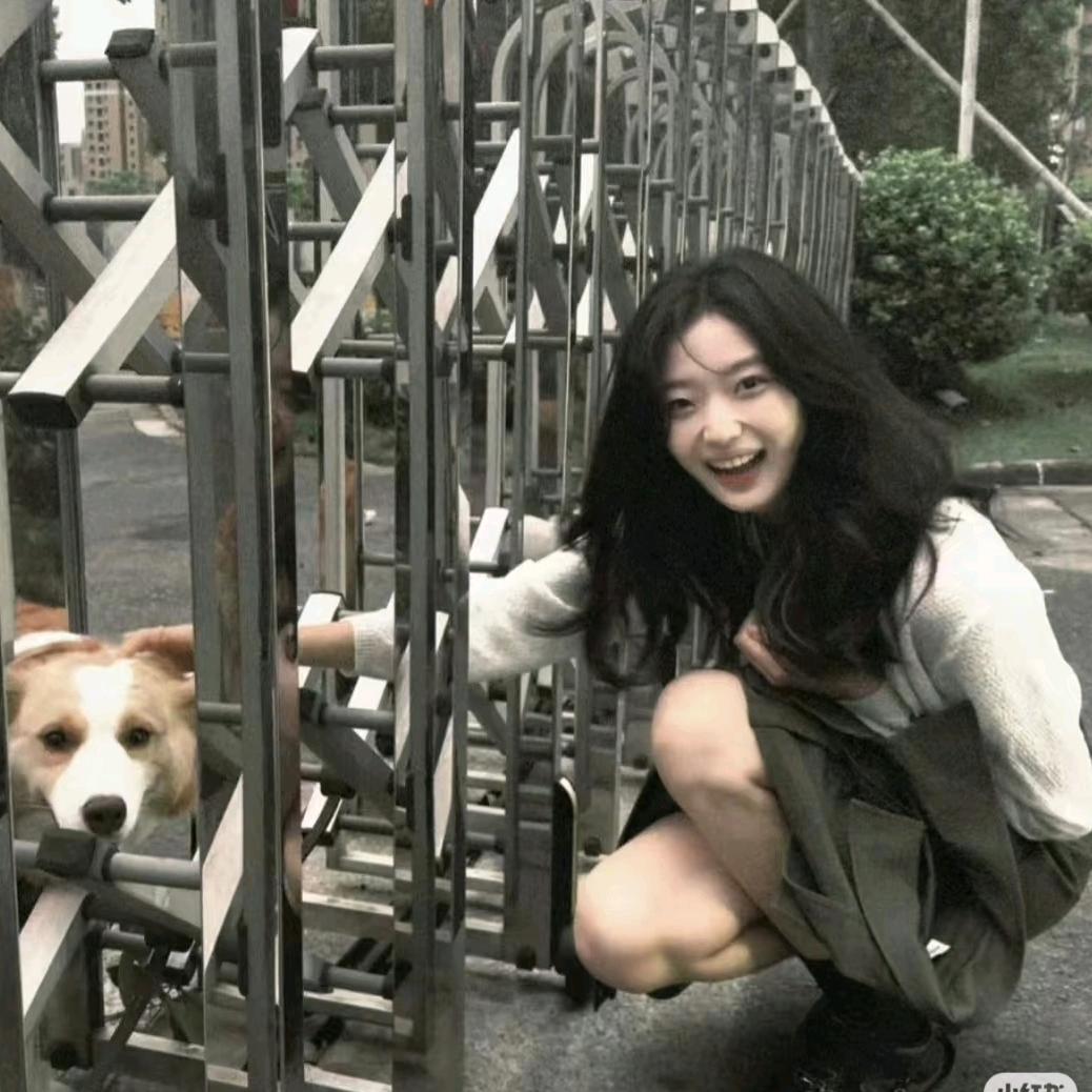 张崽崽