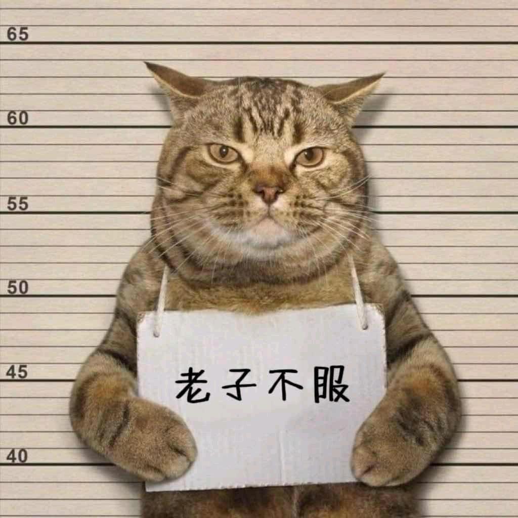 繁星坠，天行泪