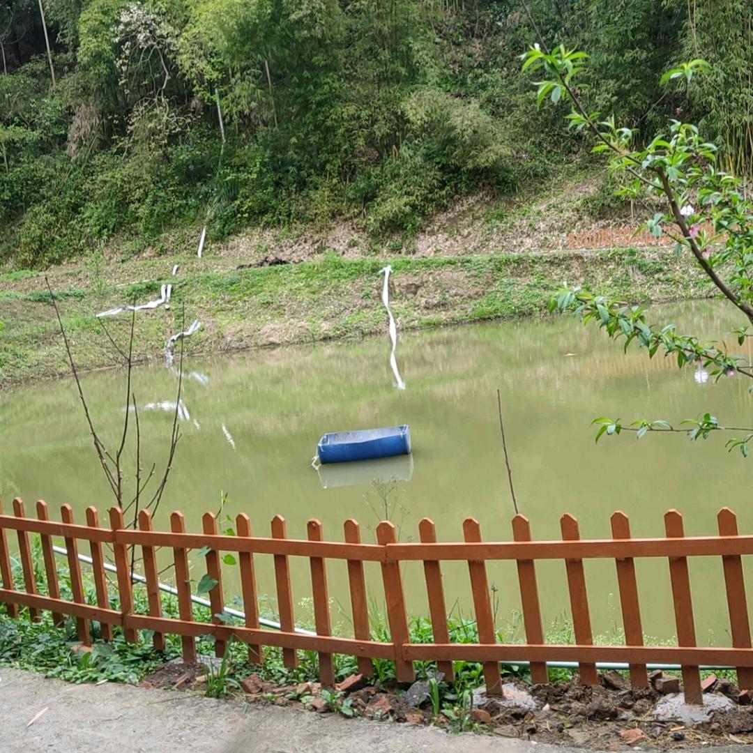 开心快乐8845894594992