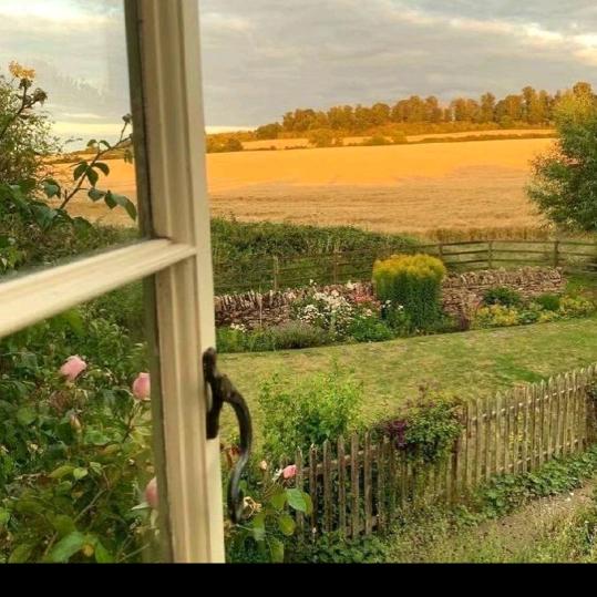 健康快乐每一天