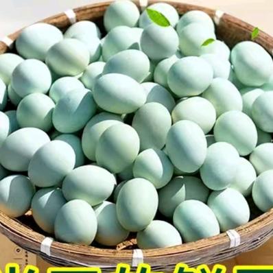 家佳鲜鸡蛋批发