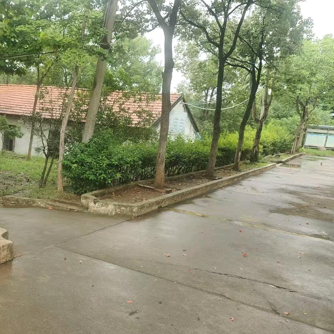 ㅤ黑鹰 ༽🦟