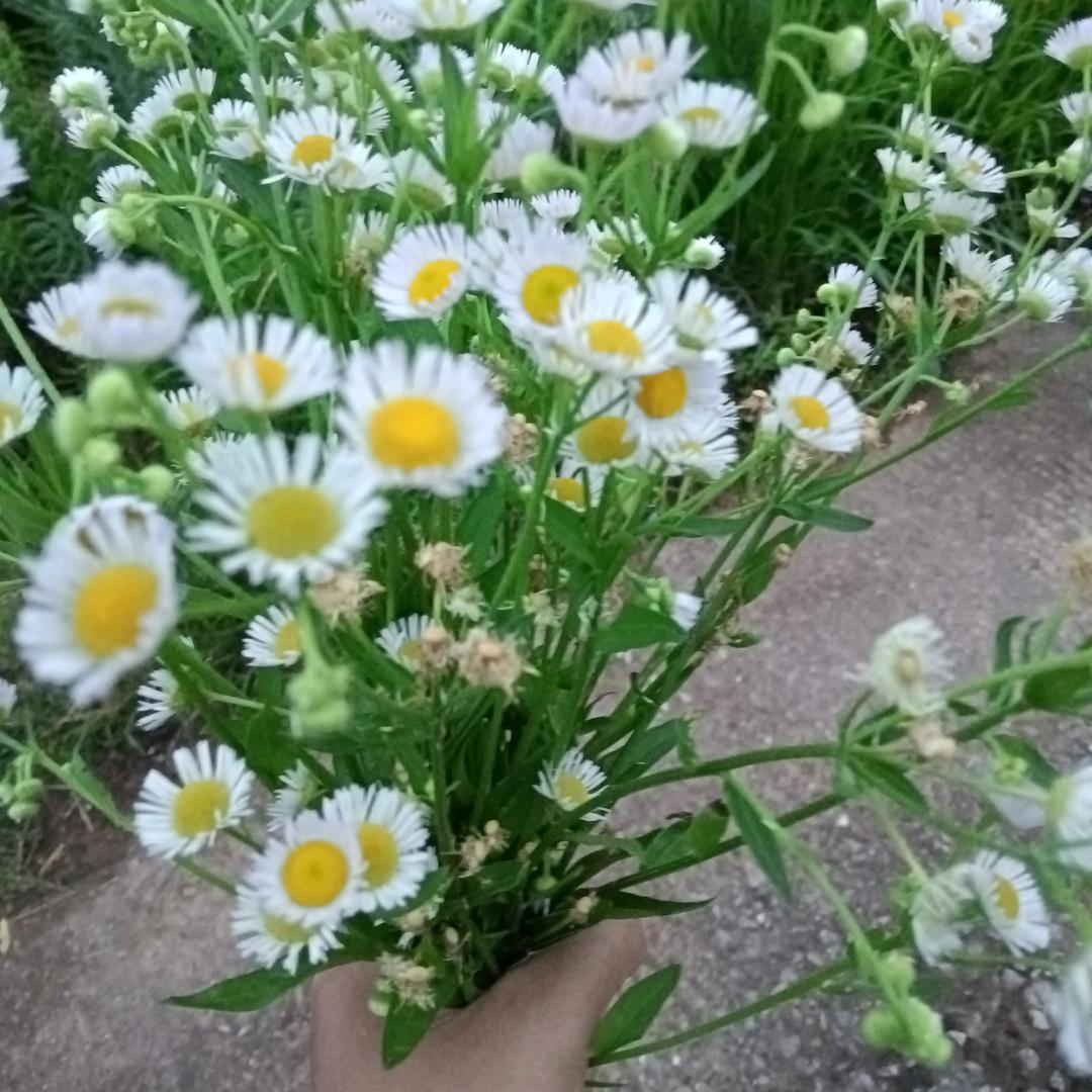 微笑等待晴天