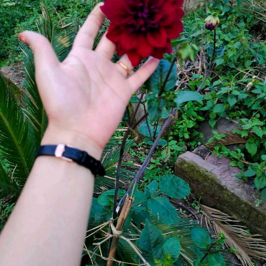 💔ོ࿐ᩚ:微笑掩盖悲伤💔ོ࿐ᩚ: