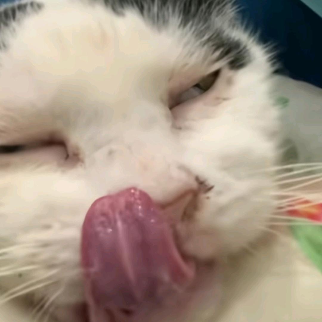 穗