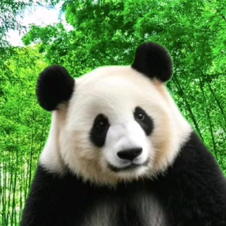 熊猫好物超市