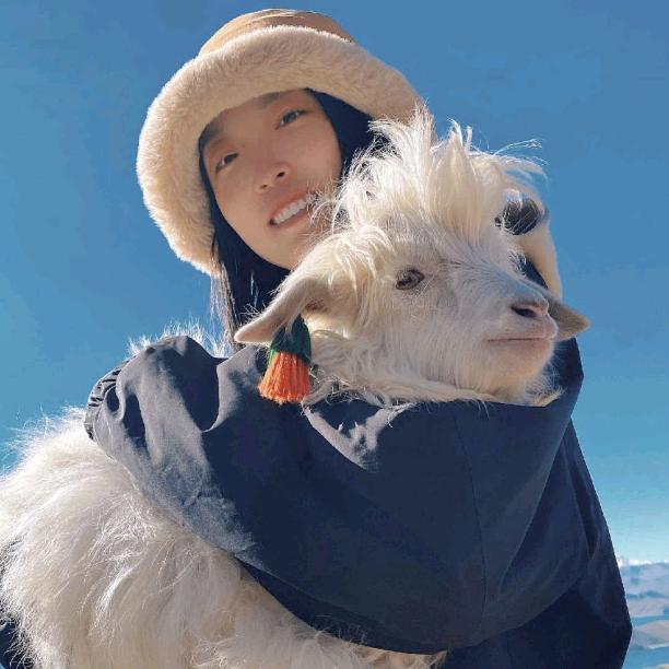 🌻柚子在西藏