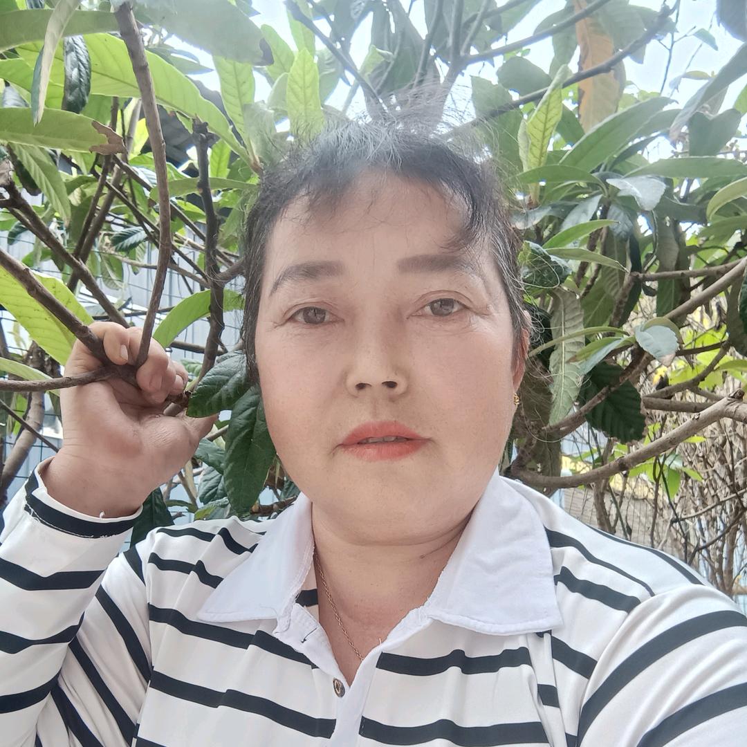 陈大姐2