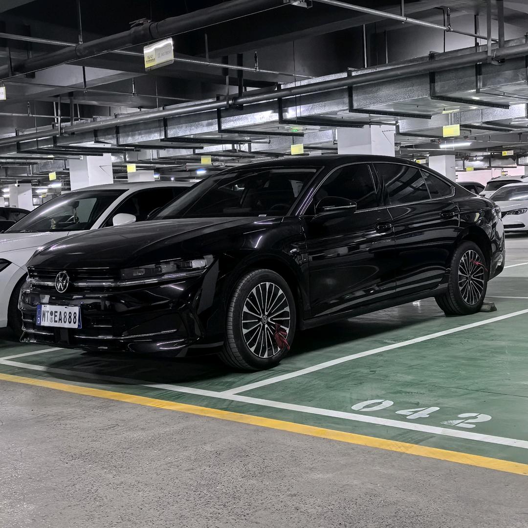 养了一只小迈腾