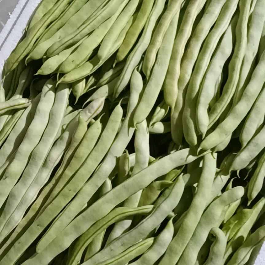 牛大，