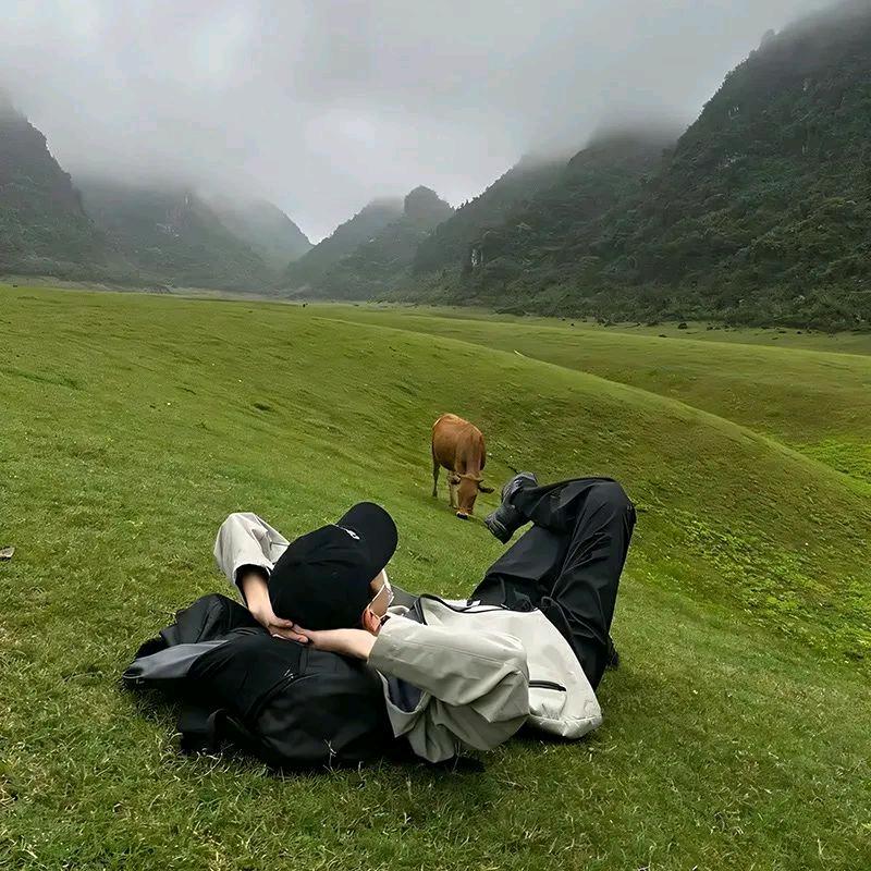 森林