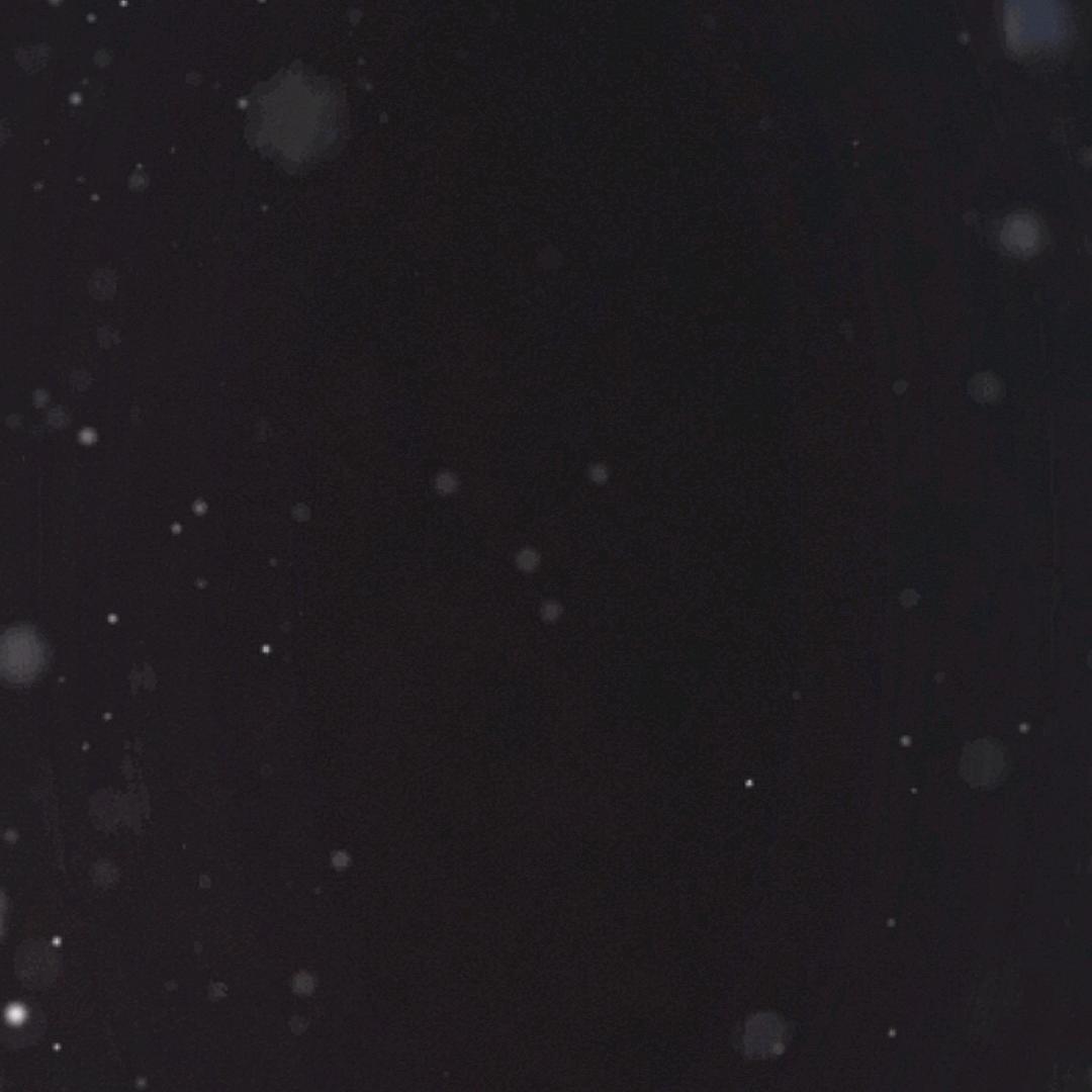 用户681687575885