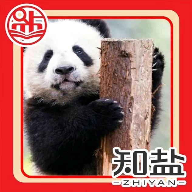 高考志愿