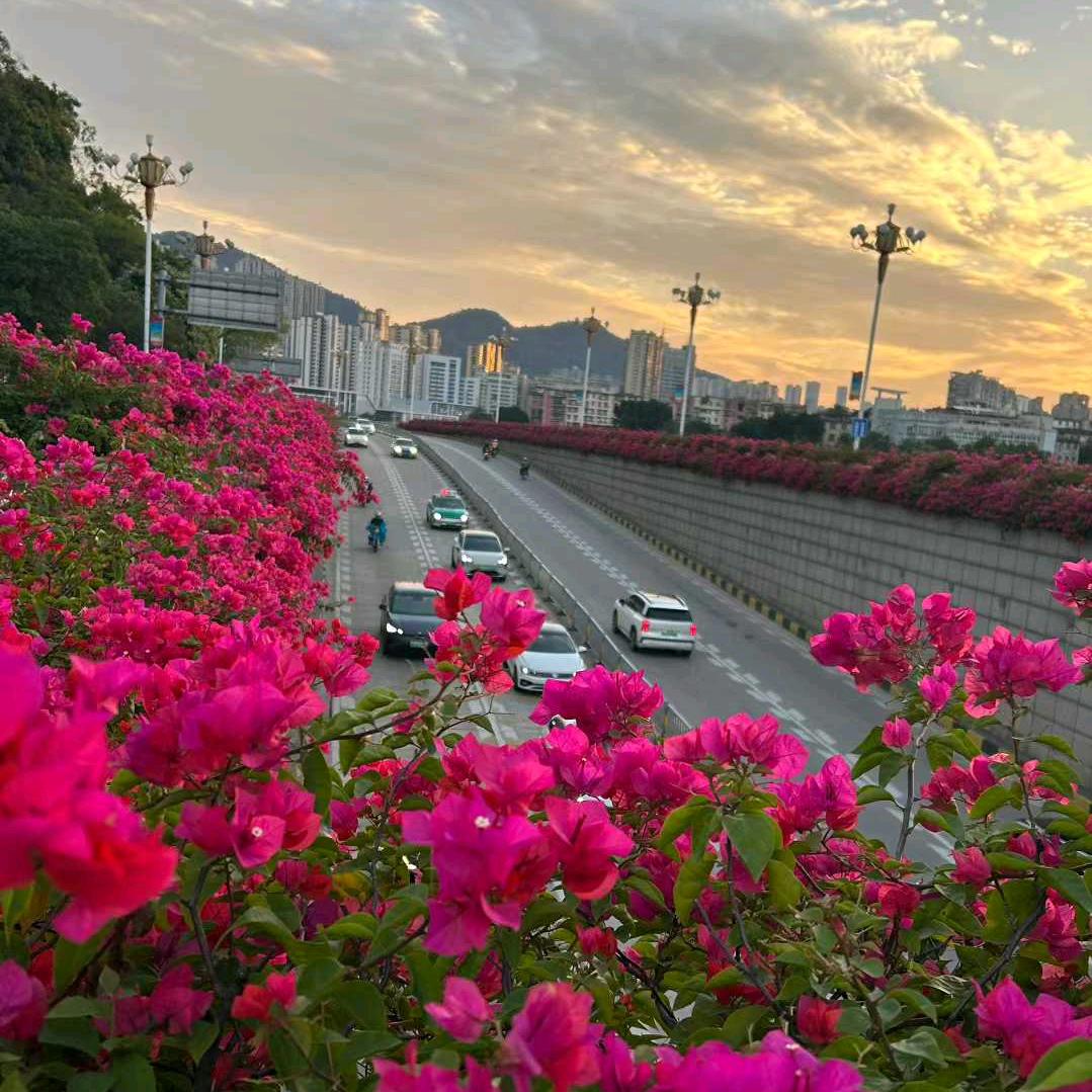 平安是福阿秀🌹🌹🌹🌹🌹🌹