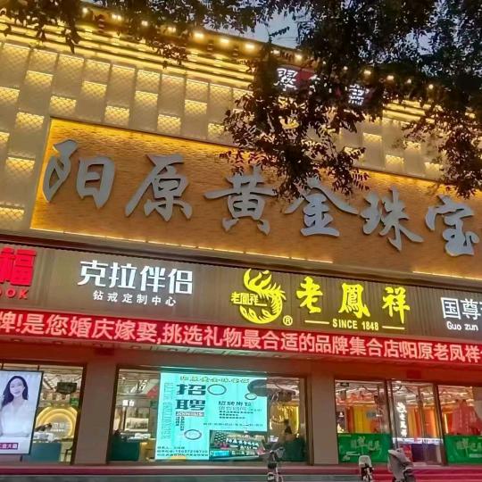 阳原黄金珠宝LFX丽丽