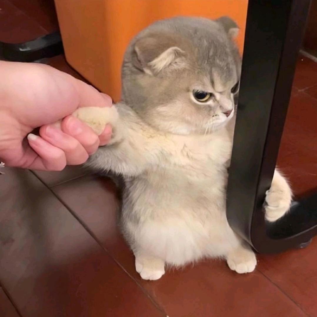 Goodnight，mylove！