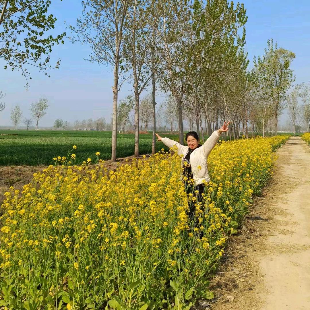 一帆风顺༆༃༂