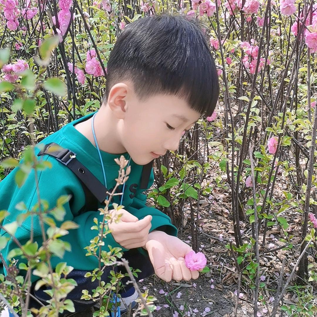 糖豆倩倩