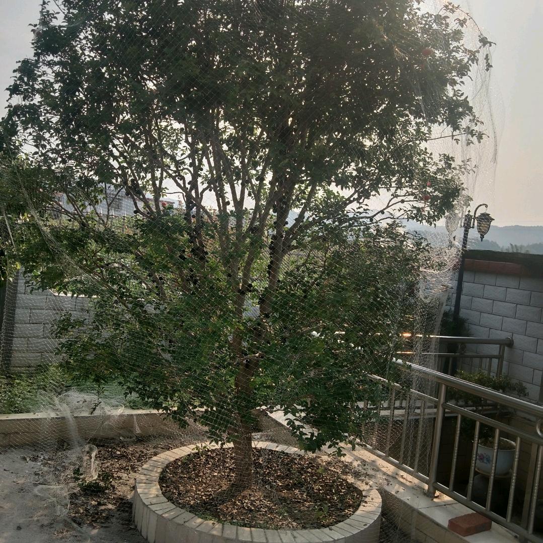 帅也不是你的。