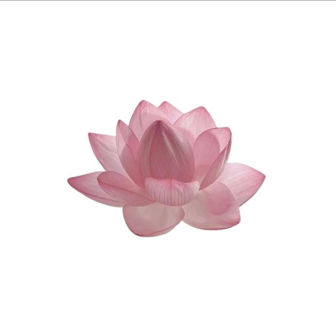 又是泡泡