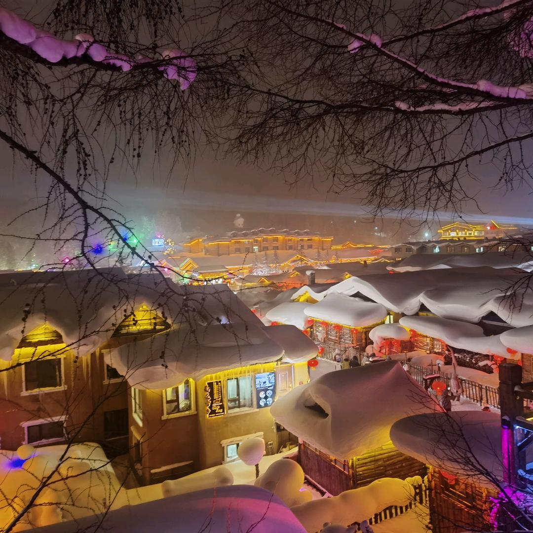 一口一个小布丁