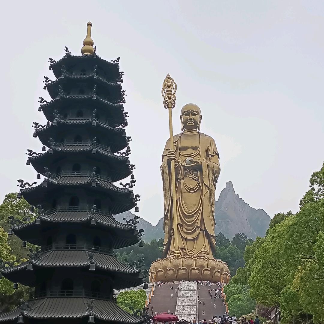 忠🍀孝🍀堂