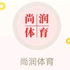 尚润台球杆2