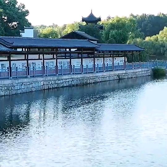 刘下回忆