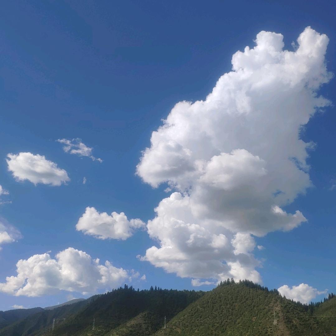 风飞沙