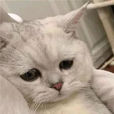 听风浪漫过海