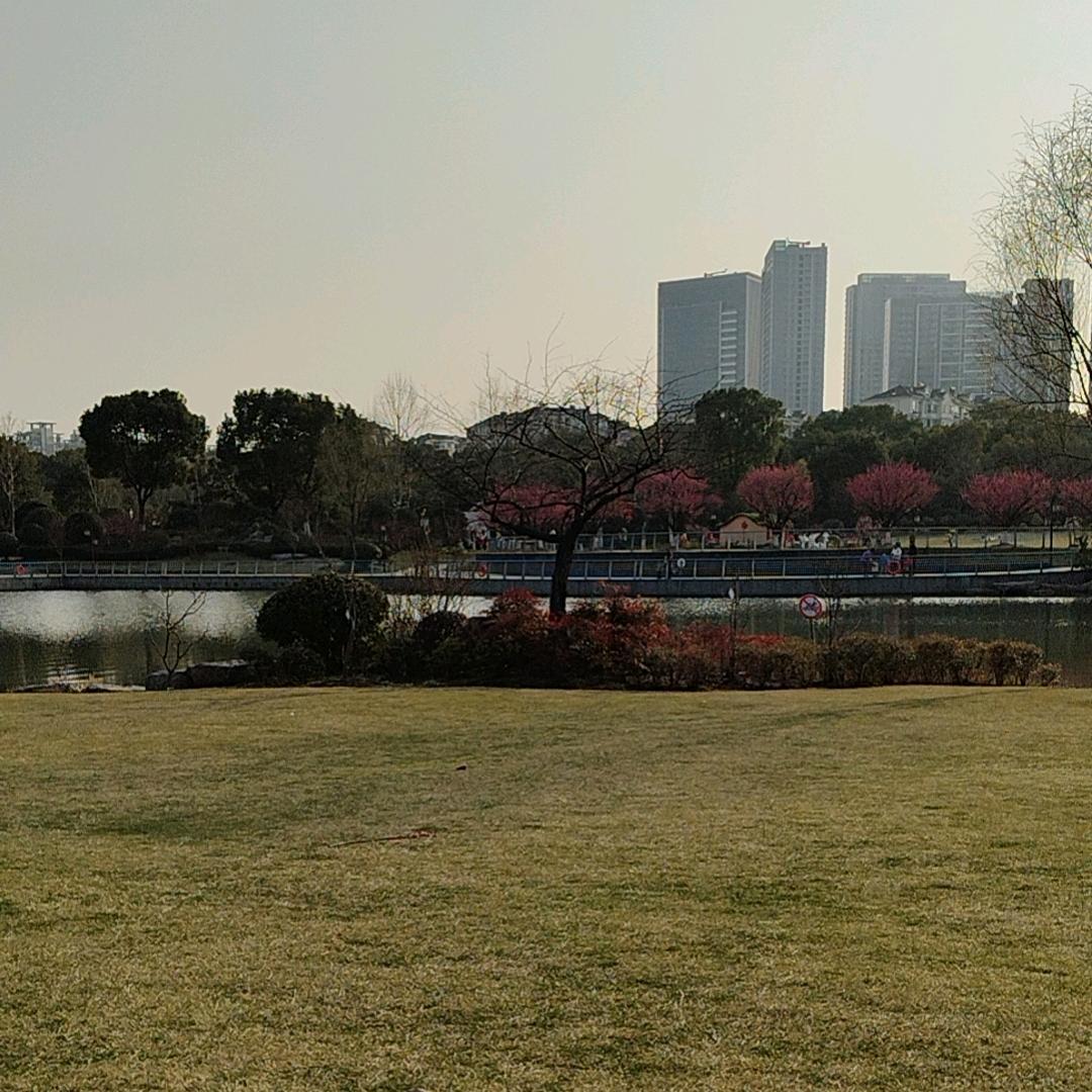 孤注一掷