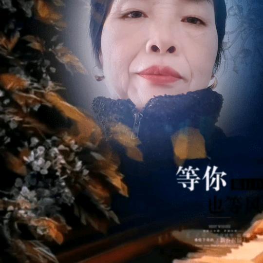 林秀珍