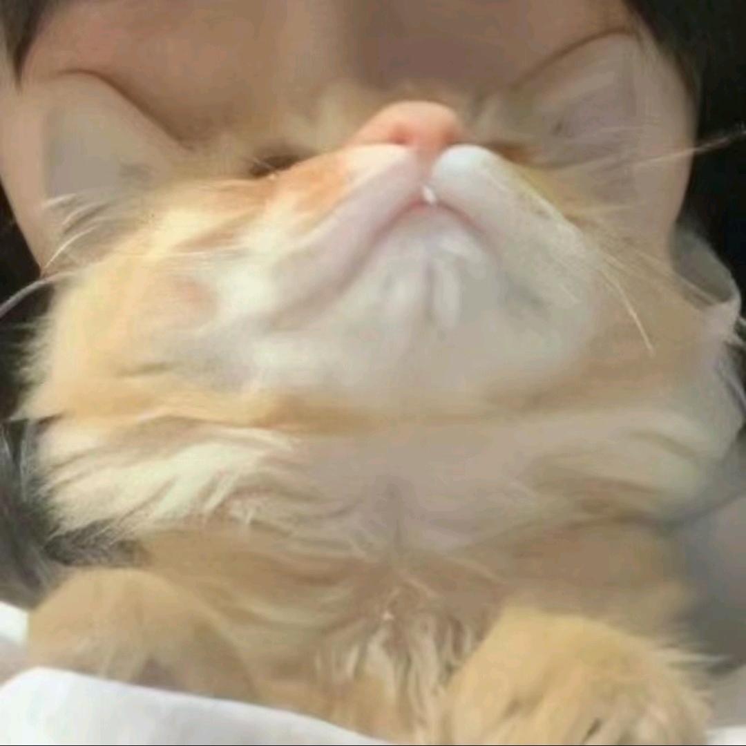 一把小吉他