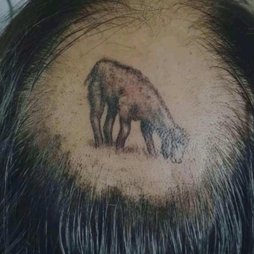 灋纔鐞服饰搭配
