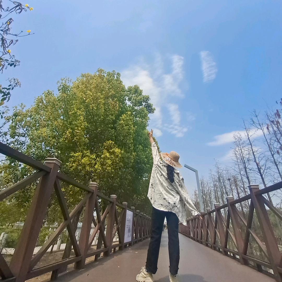 小虹好物精选铺